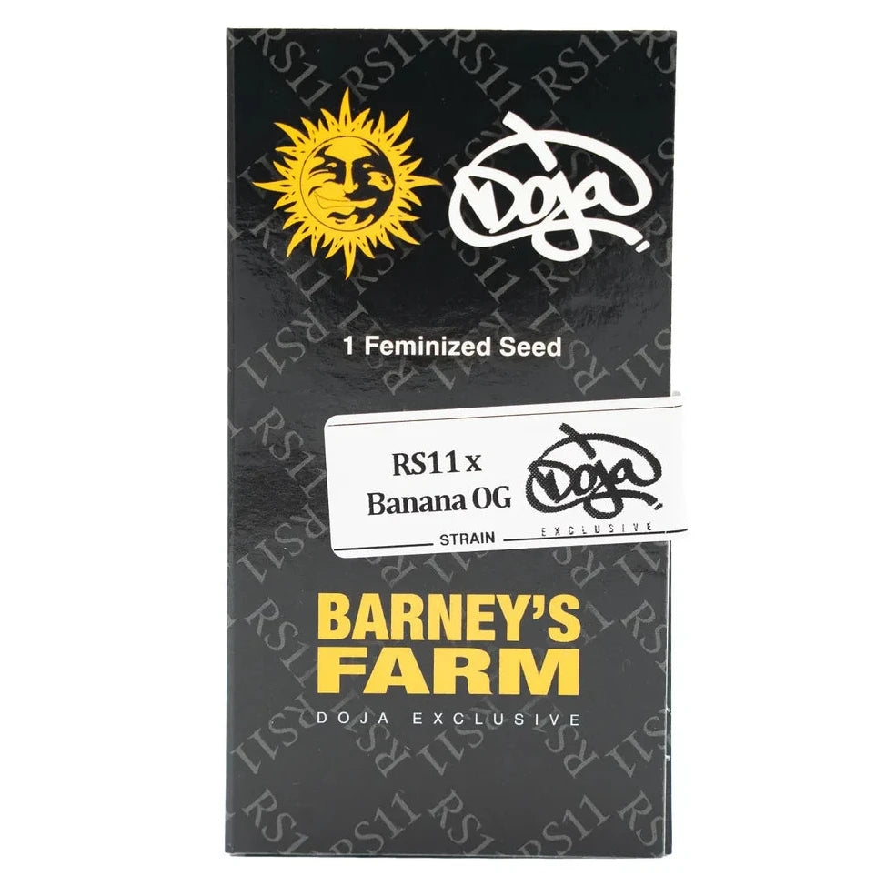RS11 x BANANA OG - Feminisierte Cannabis-Samen