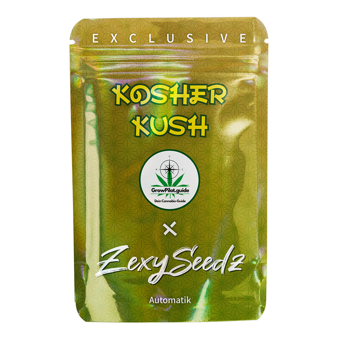 Kosher Kush Auto Cannabis-Samen – goldene Zexy Seedz Verpackung mit GrowPilot.guide-Logo