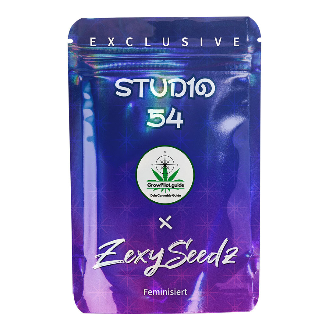 Studio 54 fem Cannabis-Samen – blau-violette Zexy Seedz Verpackung mit GrowPilot.guide-Logo