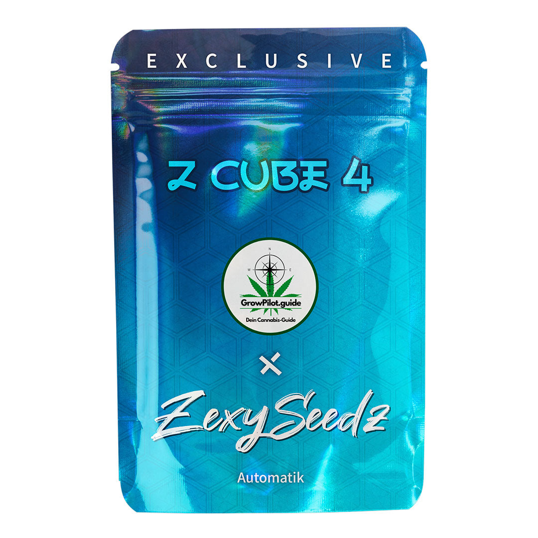 Z Cube 4 Auto Cannabis-Samen – türkis-blaue Zexy Seedz Verpackung mit GrowPilot.guide-Logo