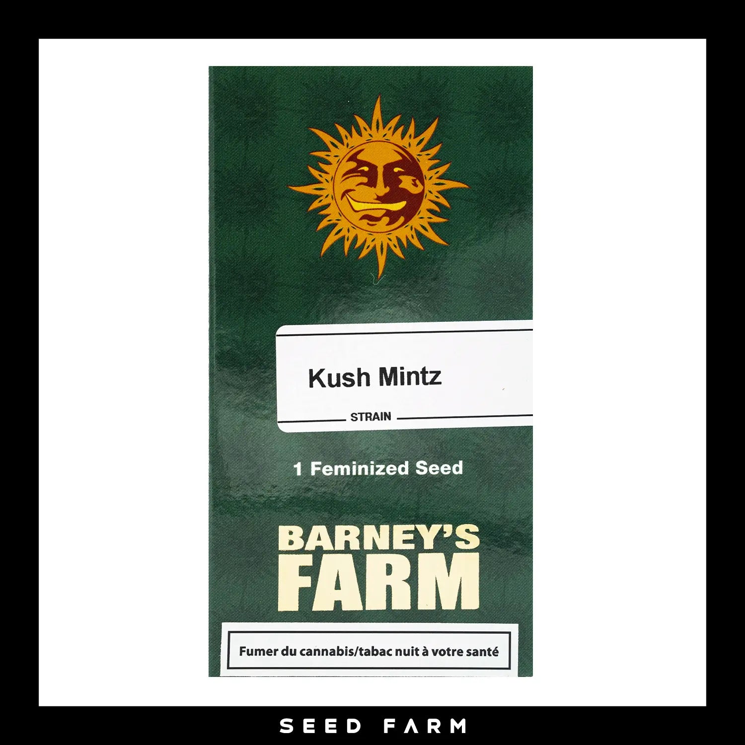 Barney's Farm - KUSH MINTZ - Feminsiert