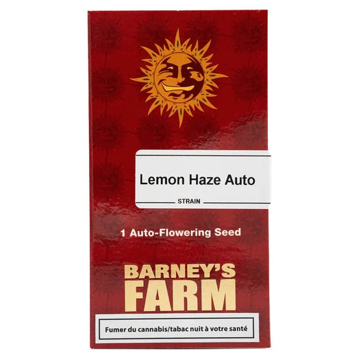 LEMON HAZE- Autoflower Cannabis-Samen