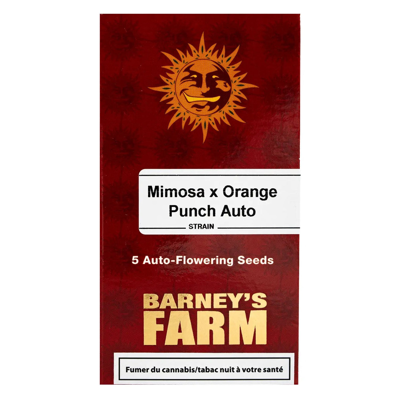 MIMOSA X ORANGE PUNCH - Autoflower Cannabis-Samen