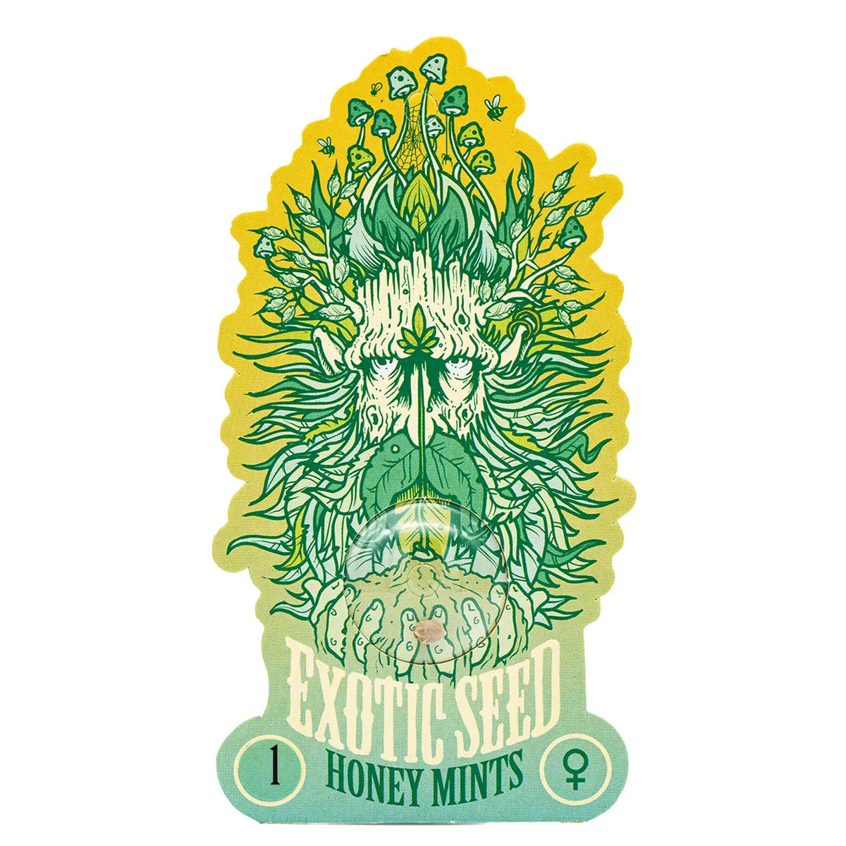 HONEY MINTS - Feminisierte Cannabis-Samen