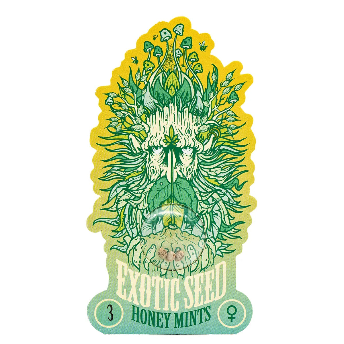 HONEY MINTS - Feminisierte Cannabis-Samen
