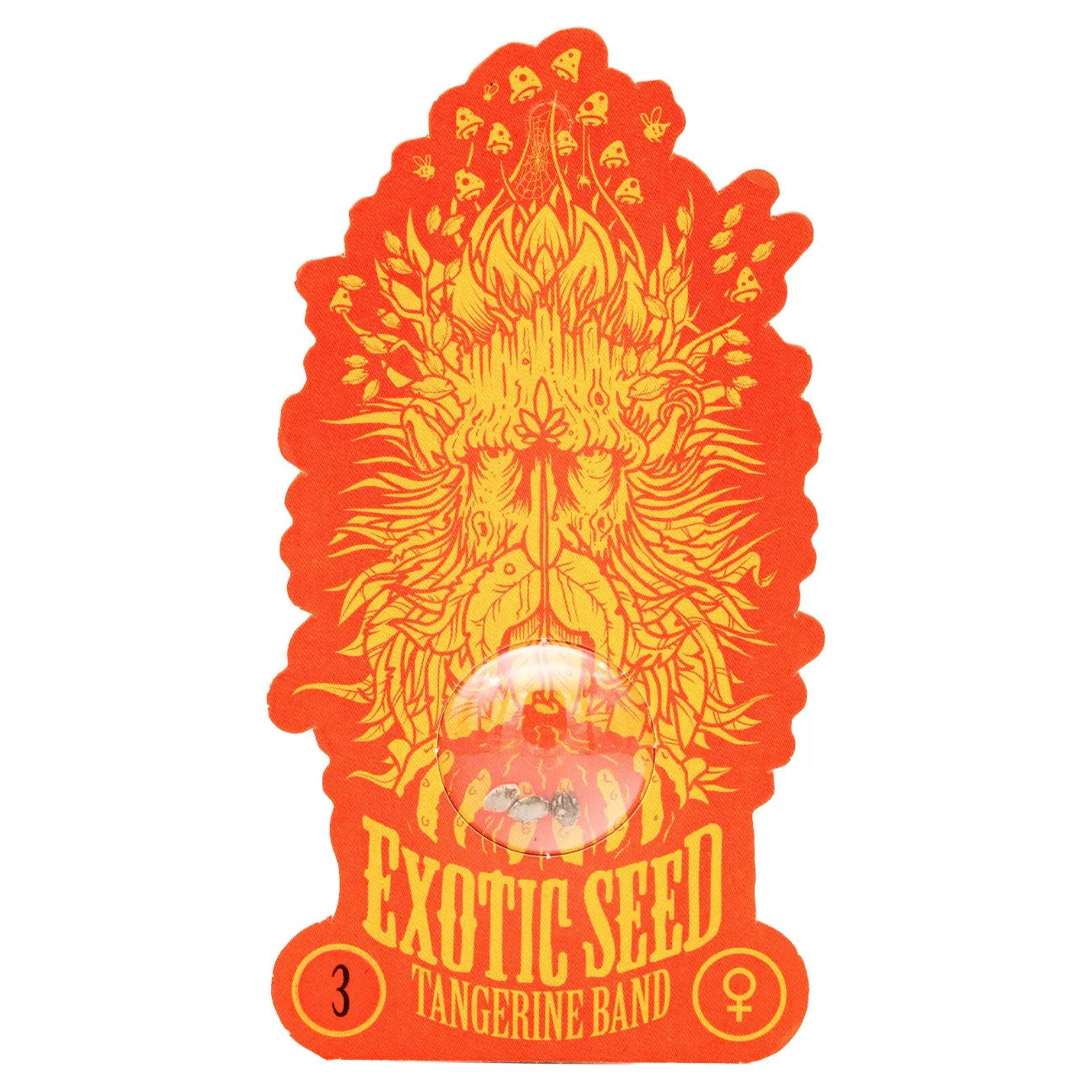 TANGERINE BAND - Feminisierte Cannabis-Samen