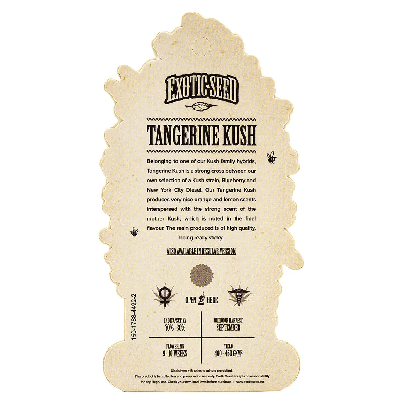 TANGERINE KUSH - Feminisierte Cannabis-Samen
