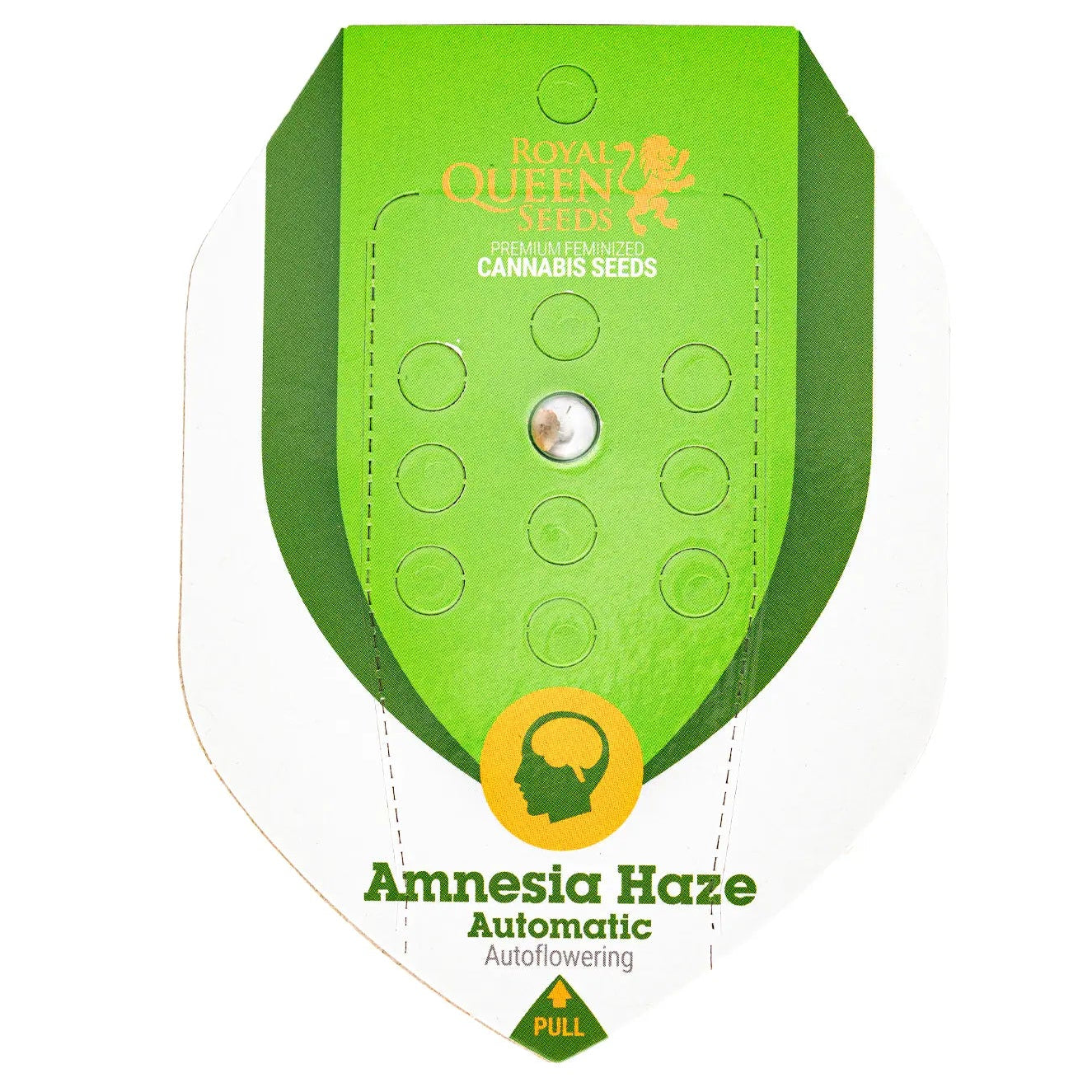 AMNESIA HAZE - Autoflower Cannabis-Samen