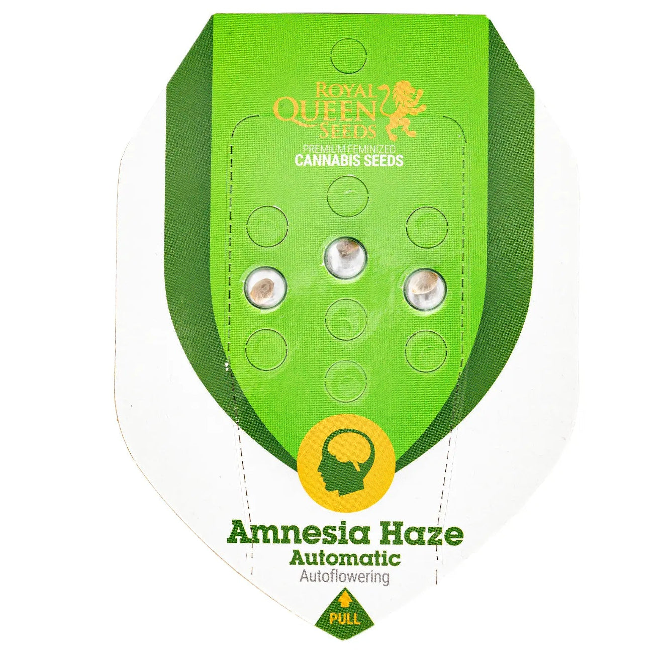 AMNESIA HAZE - Autoflower Cannabis-Samen
