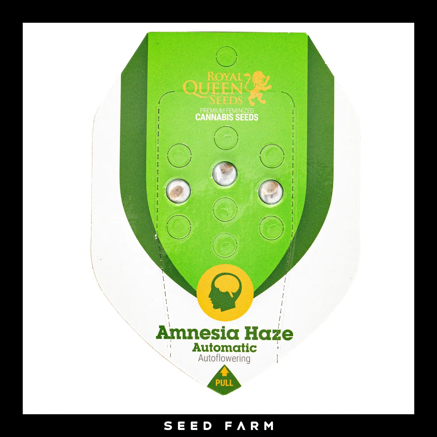 Royal Queen Seeds - AMNESIA HAZE - Automatic