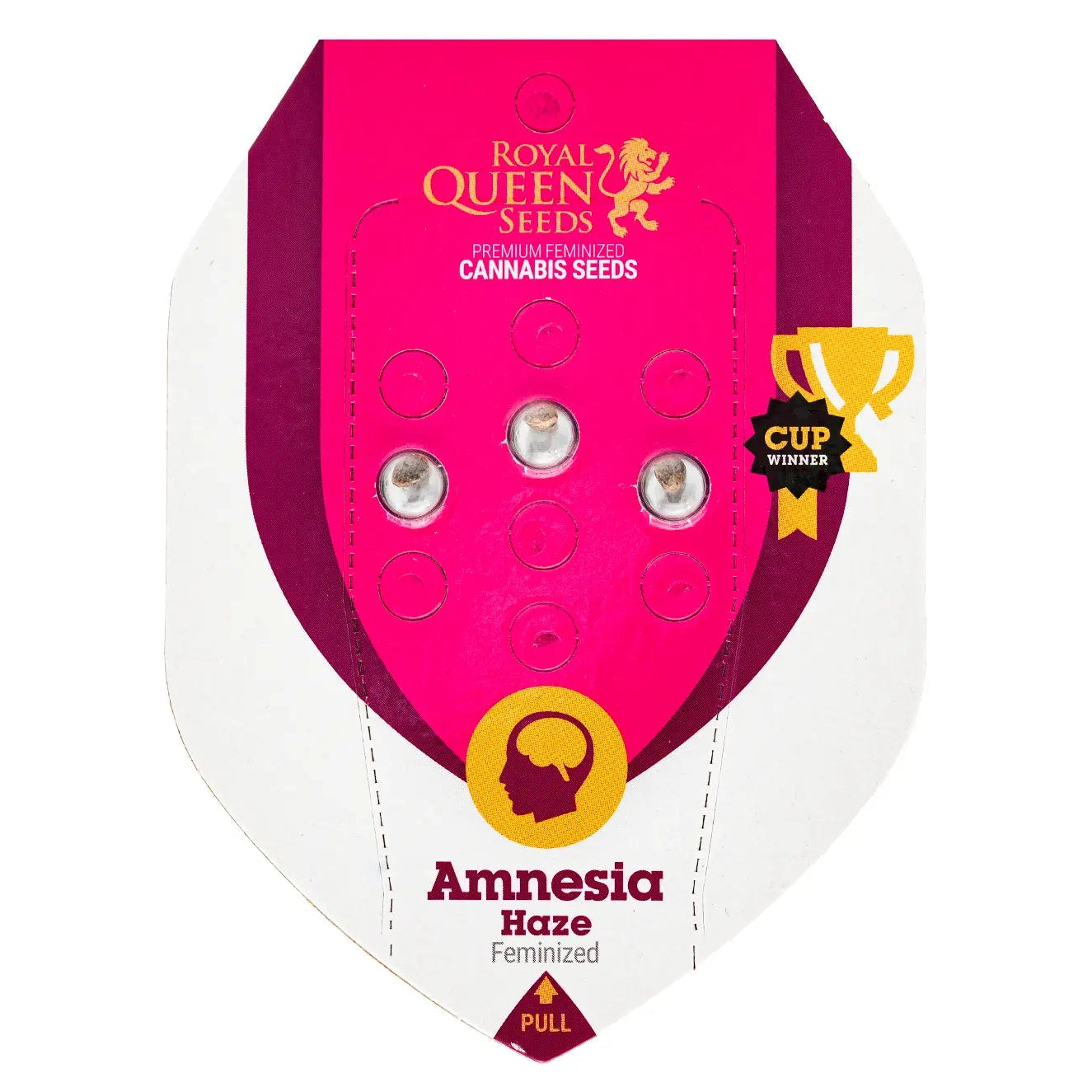 AMNESIA HAZE - Feminisierte Cannabis-Samen - RQS