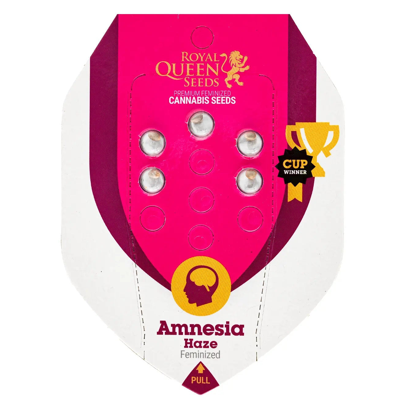AMNESIA HAZE - Feminisierte Cannabis-Samen - RQS