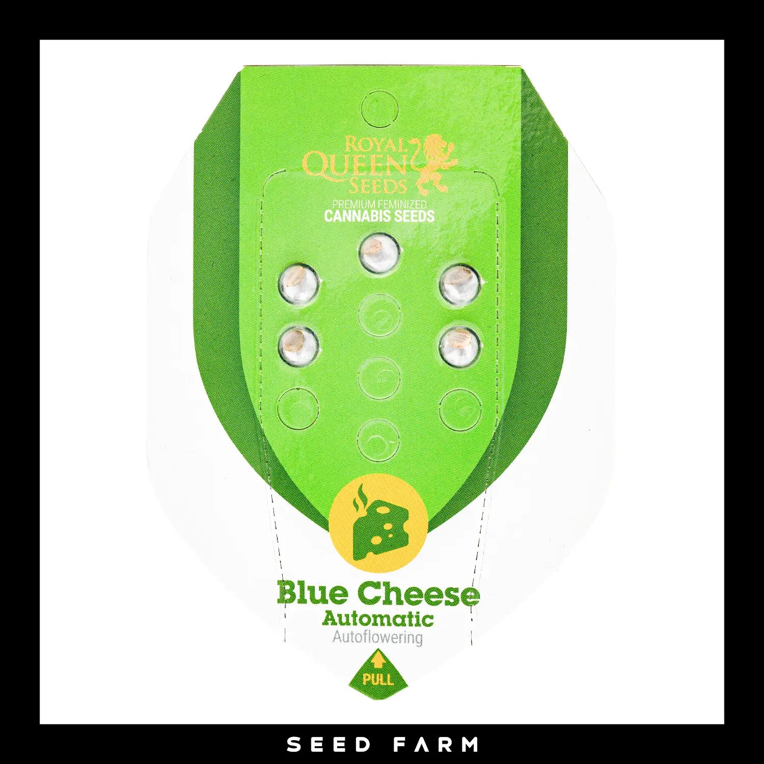 Royal Queen Seeds - BLUE CHEESE - Automatic