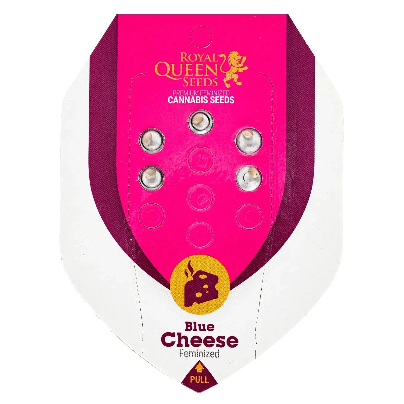 BLUE CHEESE - Feminisierte Cannabis-Samen