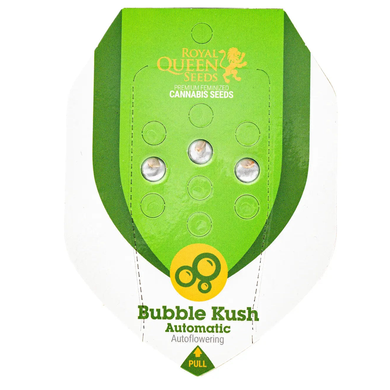 BUBBLE KUSH - Autoflower Cannabis-Samen