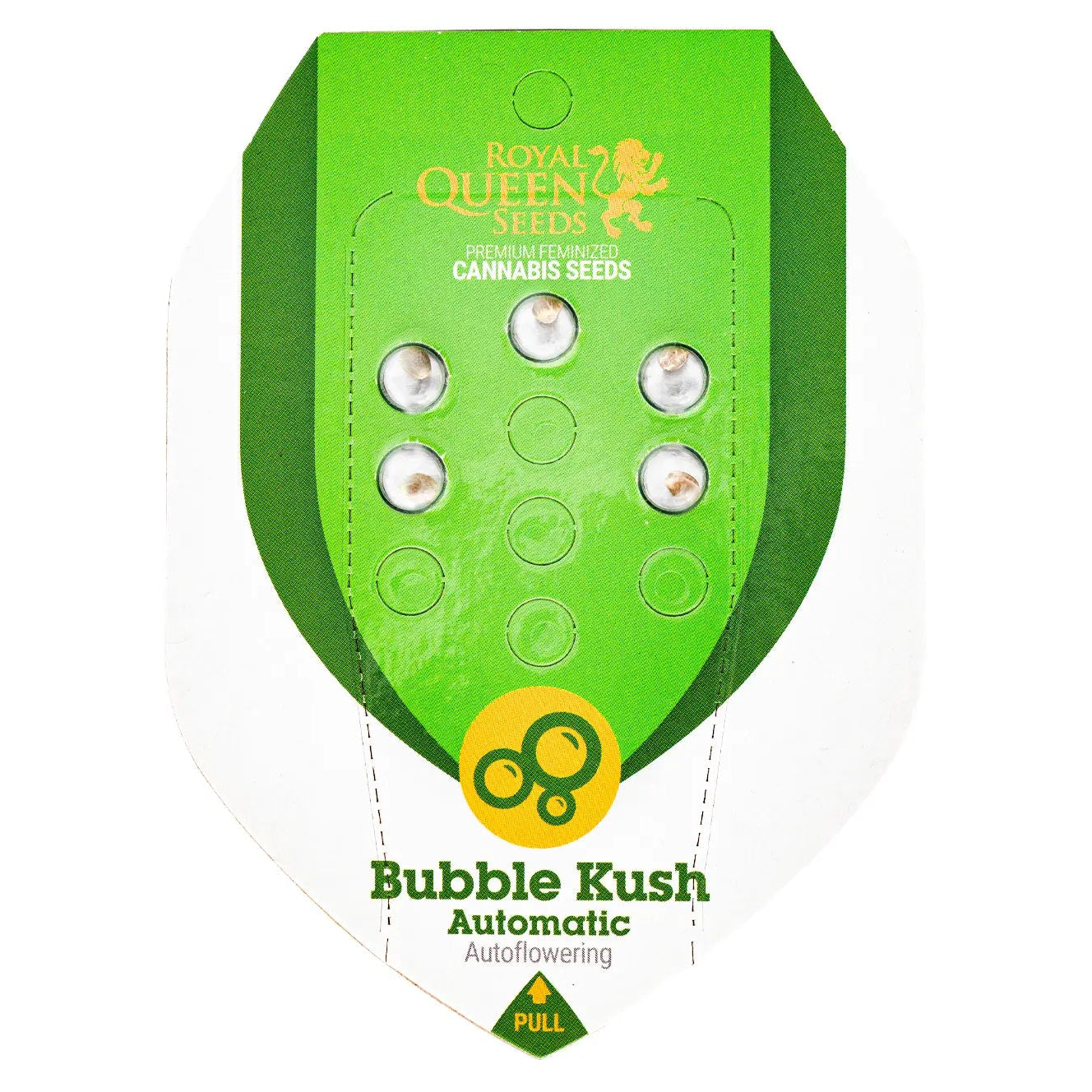 BUBBLE KUSH - Autoflower Cannabis-Samen