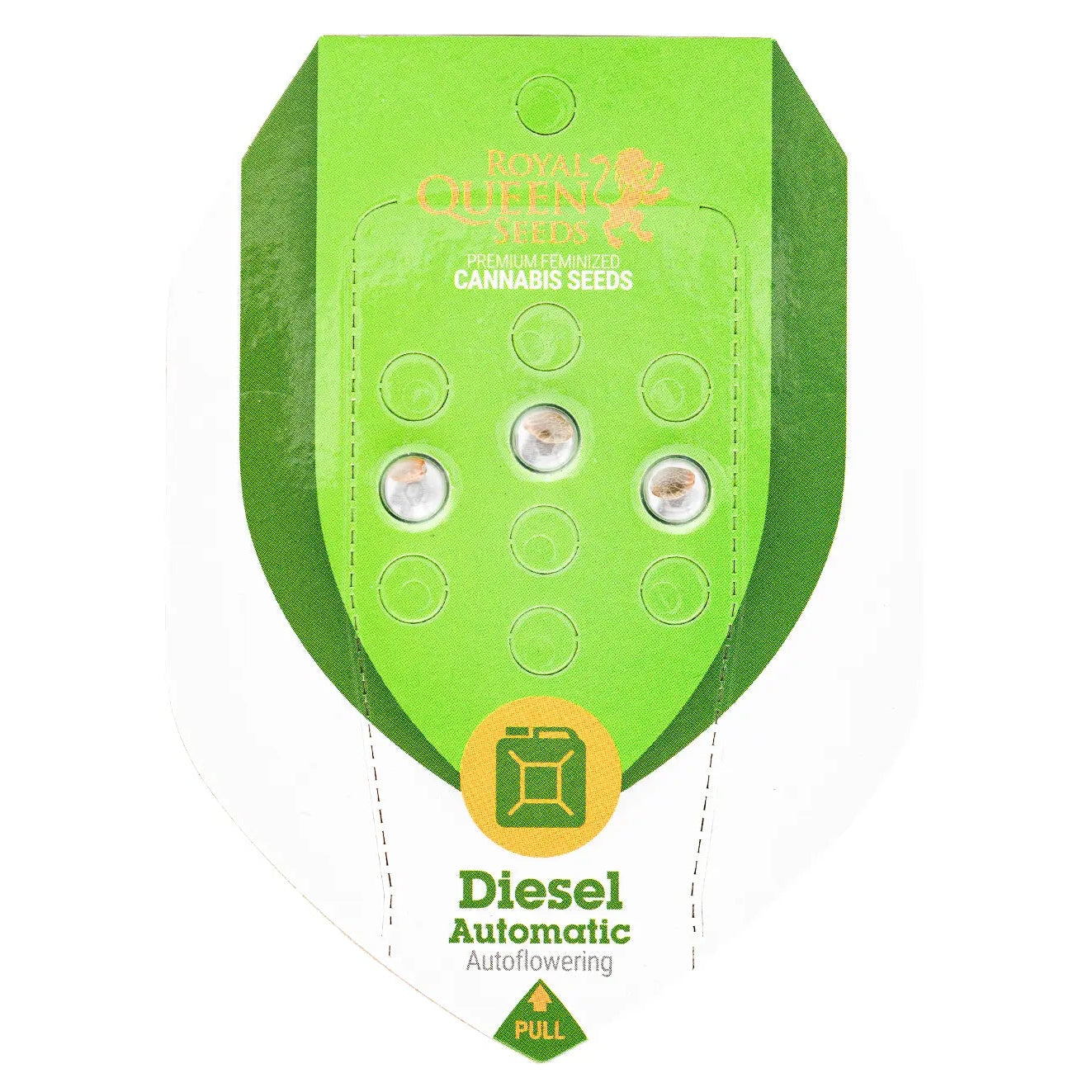 DIESEL - Autoflower Cannabis-Samen