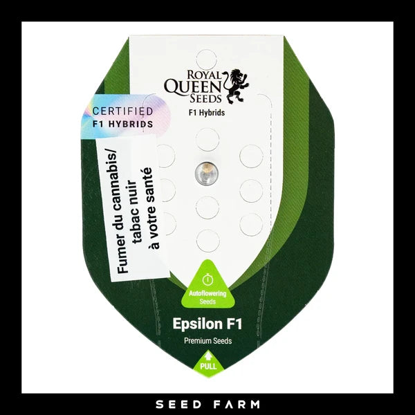 Epsilon F1 - Autoflower Cannabis-Samen