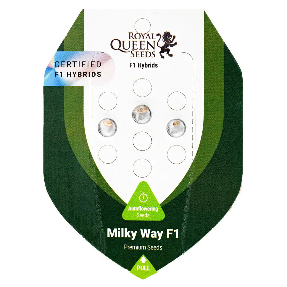 MILKY WAY F1 - Autoflower Cannabis-Samen