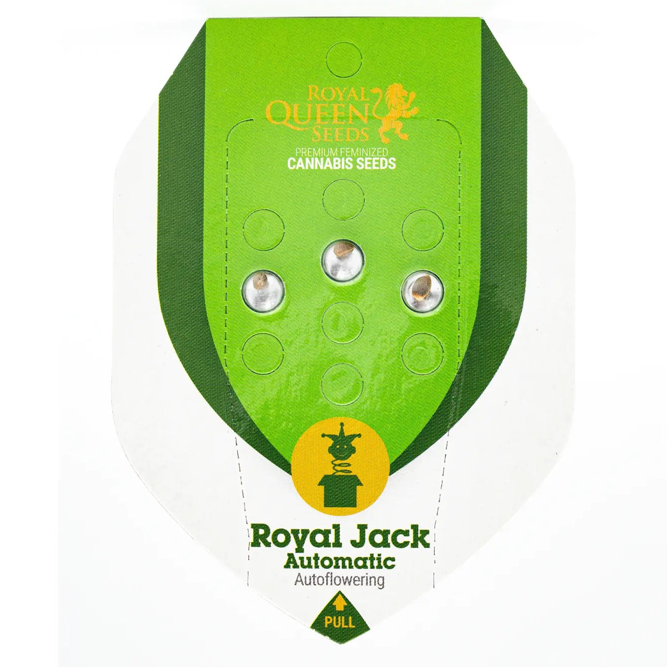 ROYAL JACK - Autoflower Cannabis-Samen