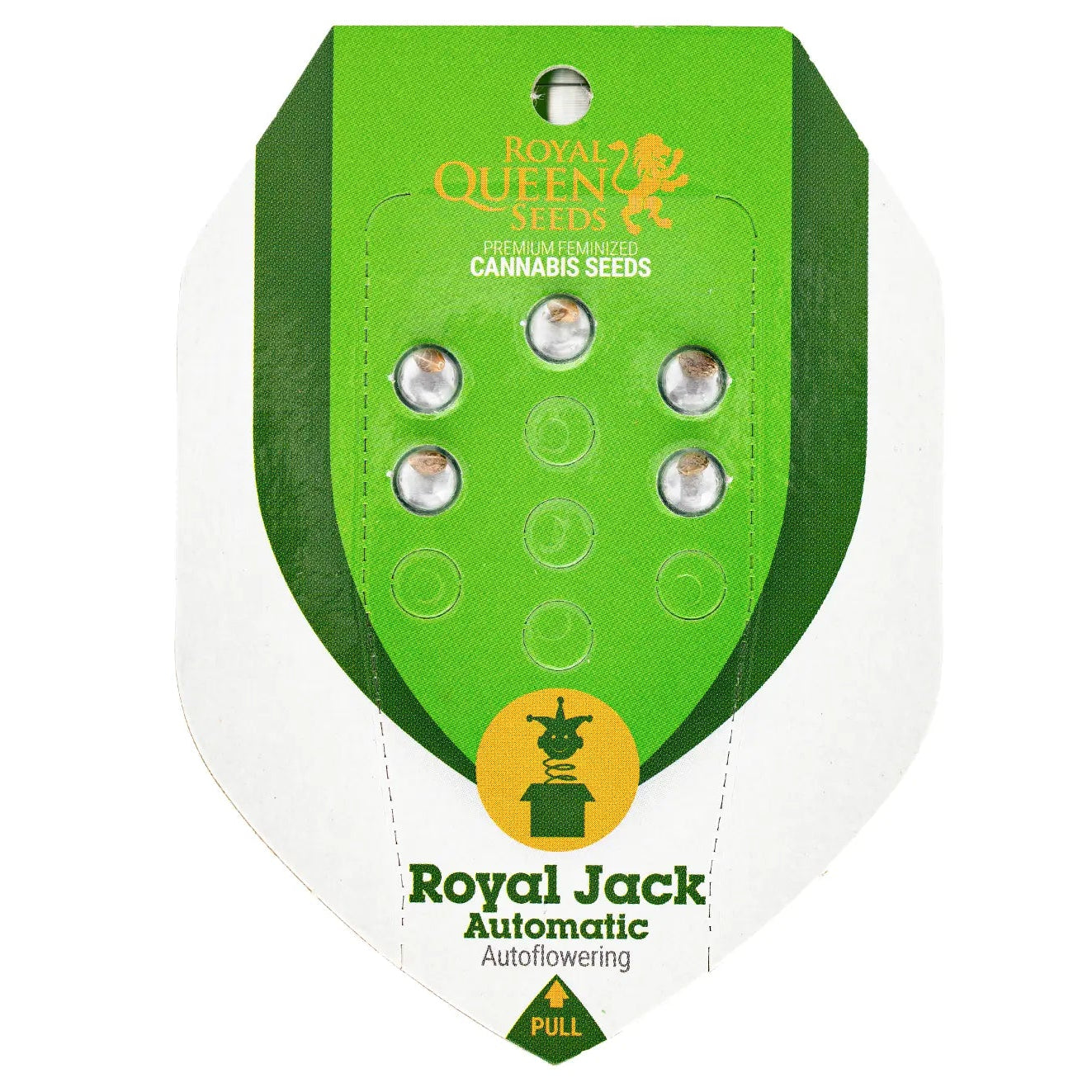 ROYAL JACK - Autoflower Cannabis-Samen