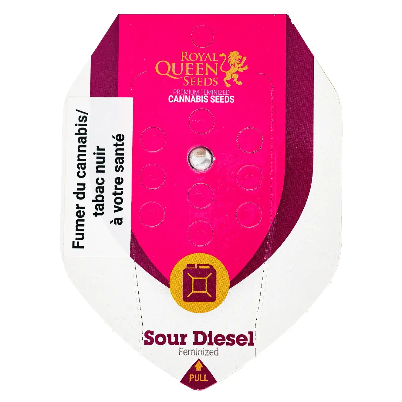 SOUR DIESEL - Feminisierte Cannabis-Samen- RQS