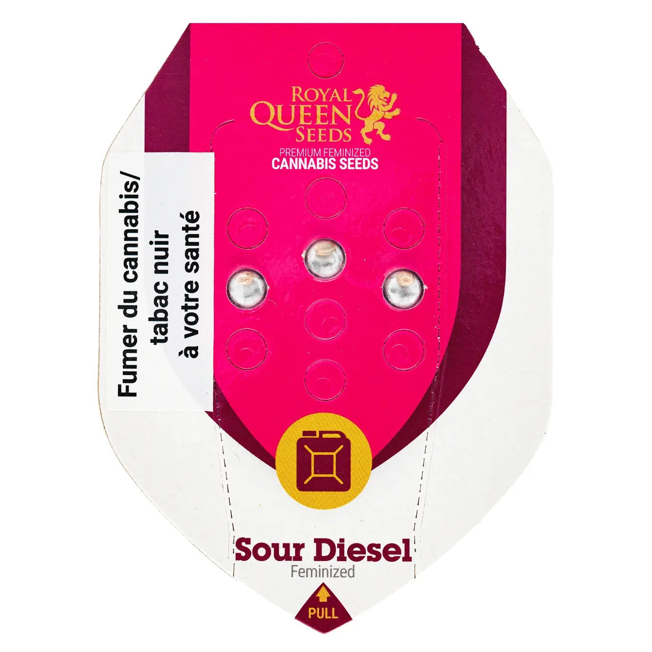 SOUR DIESEL - Feminisierte Cannabis-Samen- RQS
