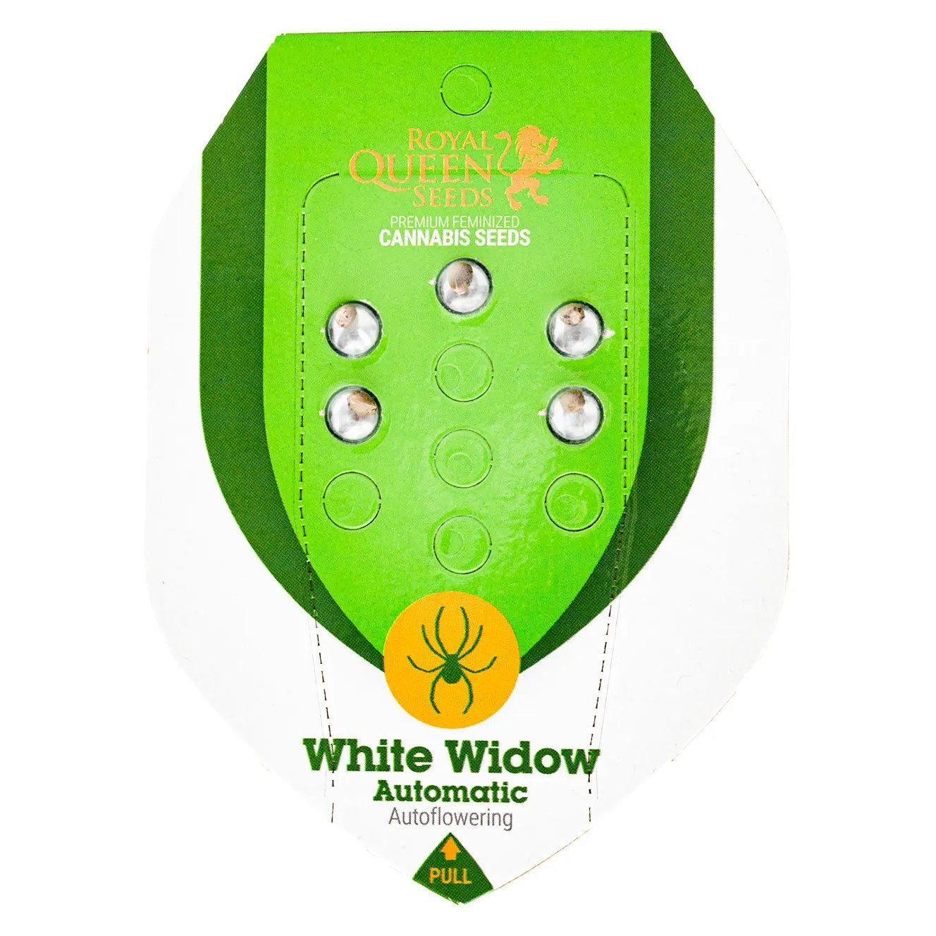 WHITE WIDOW - Autoflower Cannabis-Samen