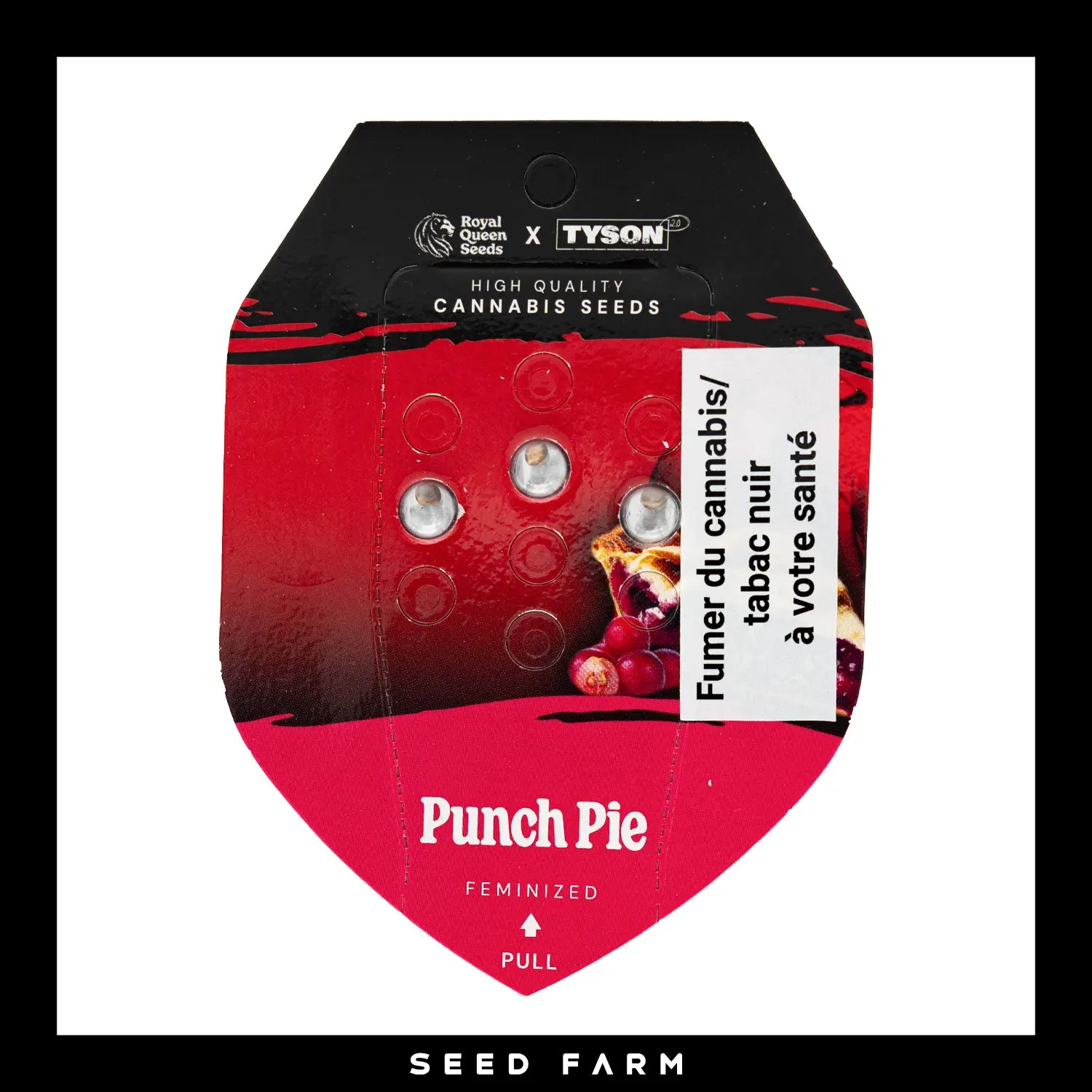 Royal Queen Seeds x Tyson 2.0 - PUNCH PIE - Feminsiert