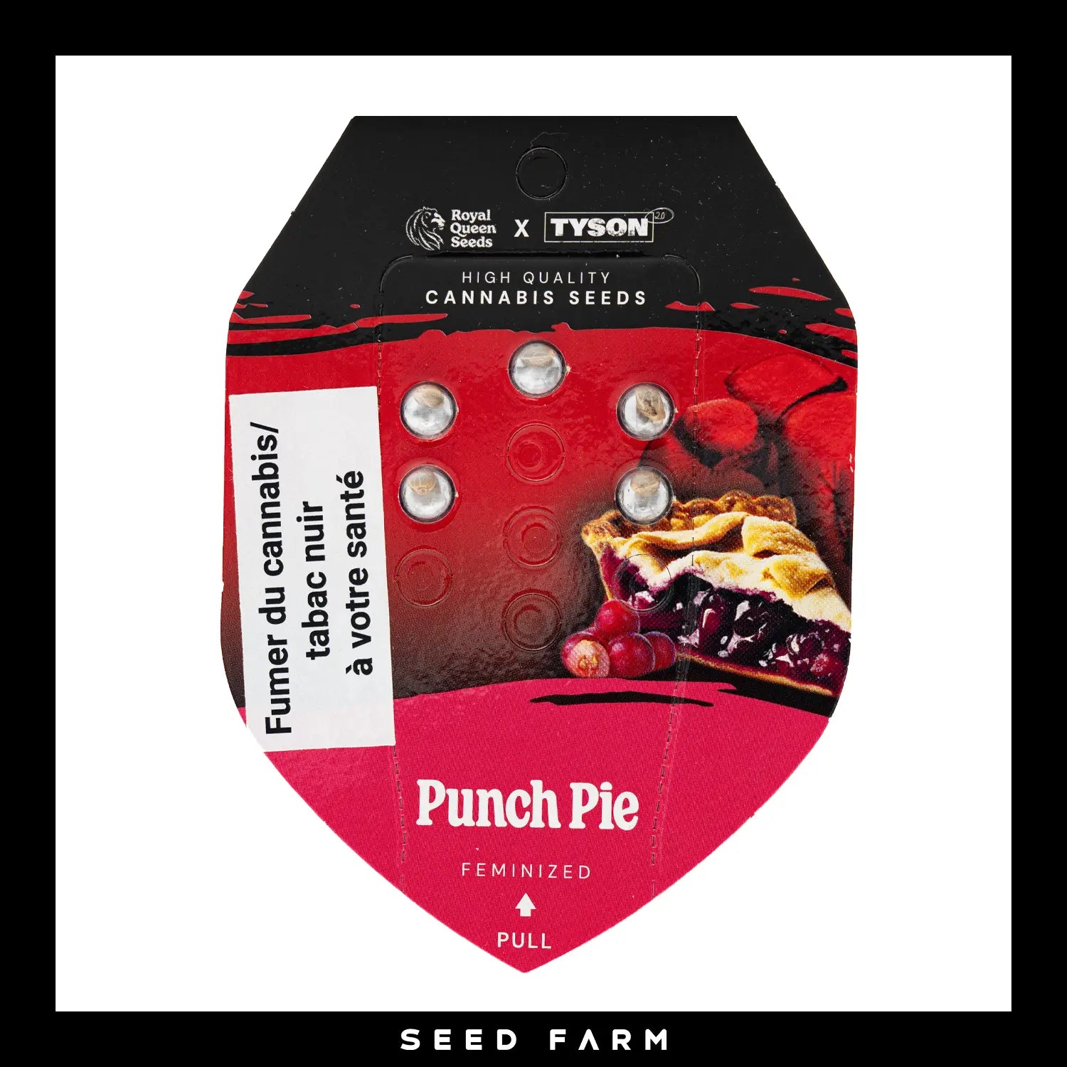 Royal Queen Seeds x Tyson 2.0 - PUNCH PIE - Feminsiert