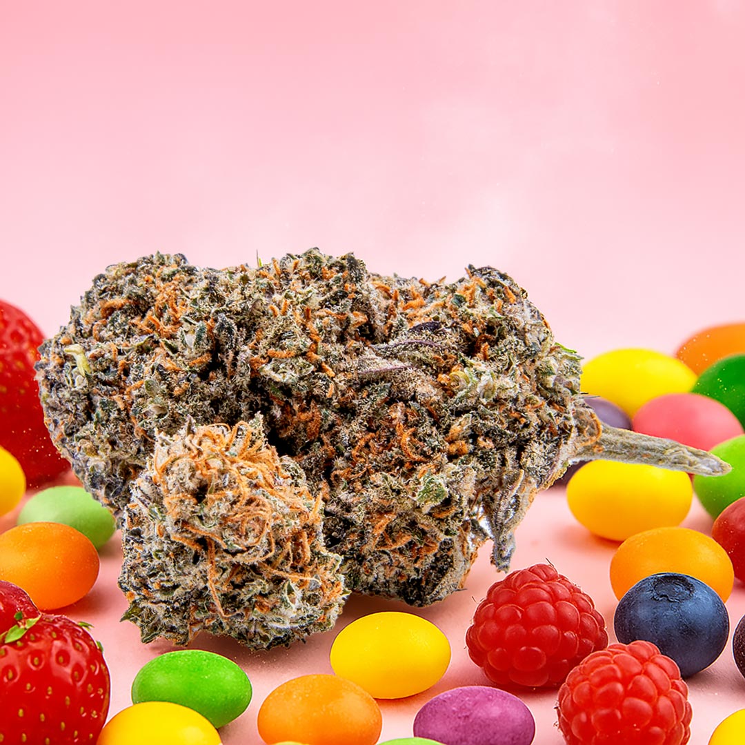 Zkittlez 12 % CBD Blüte, violettgrüne Aromablüte mit Bonbons und Beeren